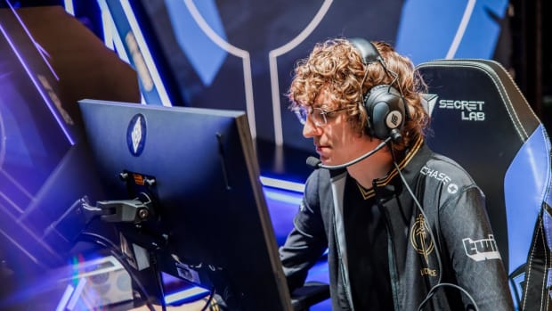 Golden Guardians Licorice competing